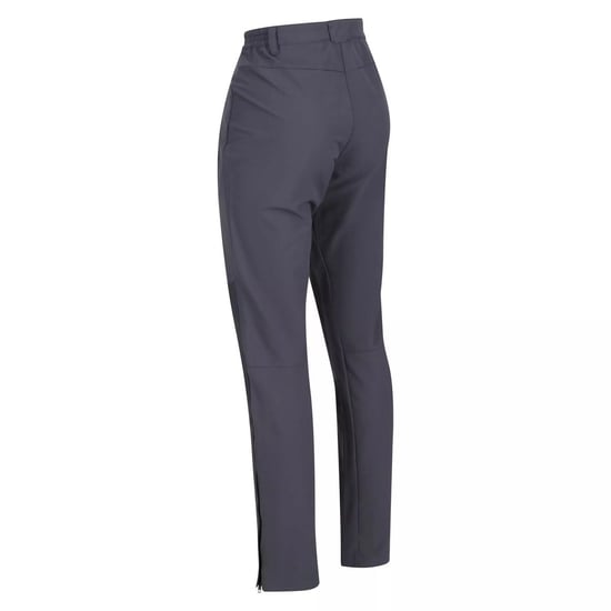 Regatta Womens/Ladies Questra IV Stretch Hiking Trousers (Seal Grey)