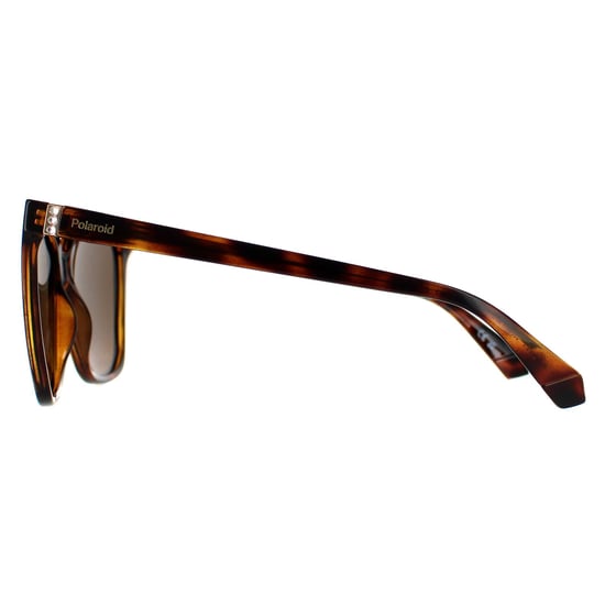 Polaroid Square Womens Havana Bronze Polarized PLD 4155/S/X
