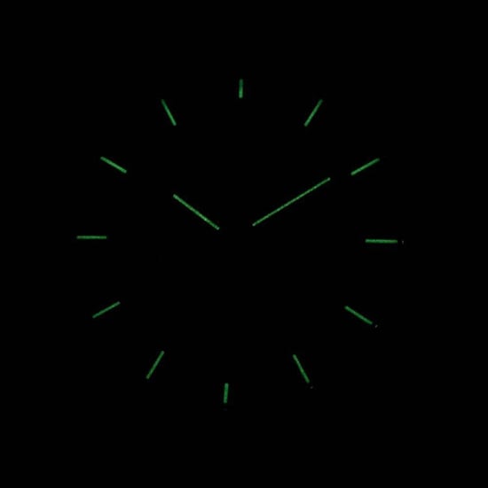 Skagen Holst herenhorloge Grijs SKW6180 - Image 5