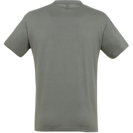 SOLS Mens Regent Short Sleeve T-Shirt (Zinc)