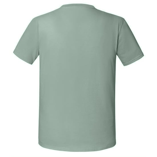 Fruit Of The Loom Mens Ringgesponnen Premium Tshirt (Salie) - Image 2