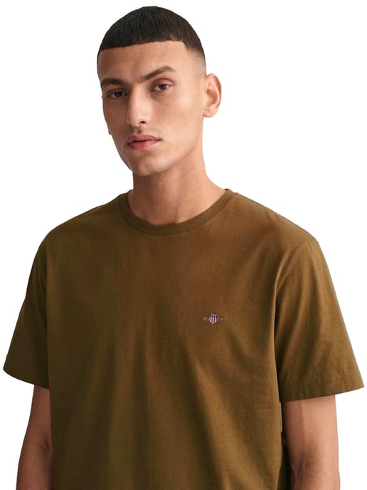 Gant Mens T-Shirts - Brown