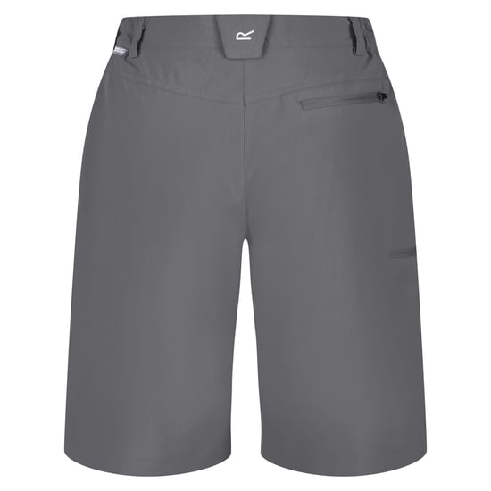 Regatta Dames/Dames Xert Stretch Shorts (Afdichting Grijs) - Image 2