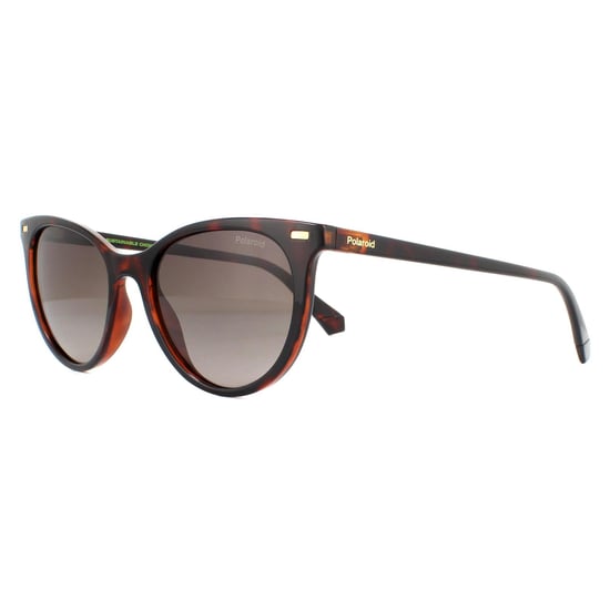 Polaroid Cat Eye Womens Havana Brown Gradient Polarized Sunglasses