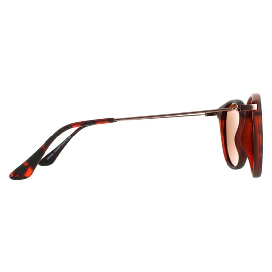 Montana Round Unisex Havana Rubbertouch Brown Polarized MP33 Sunglasses