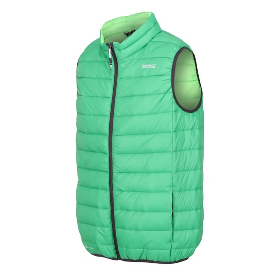 Regatta Mens Marizion Quilted Gilet (Field Green/Jasmine Green)