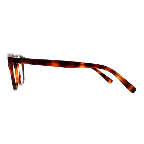 Lacoste Square Unisex Brown Havana Glasses
