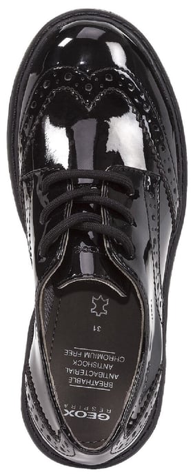 J Casey G. N Lace Up Shoe