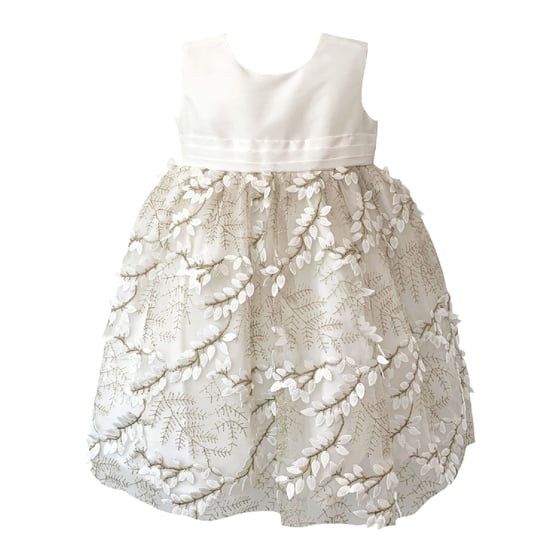 Baby Special Occasion Dress