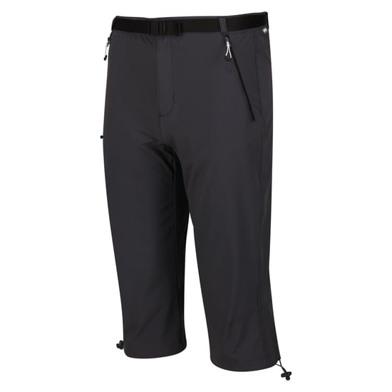 Regatta Heren Xert Stretch III Stretch Active Capri Shorts (Afdichting Grijs) - Image 3