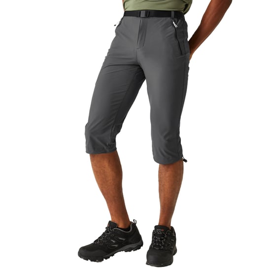 Regatta Heren Xert Stretch III Stretch Active Capri Shorts (Afdichting Grijs) - Image 4