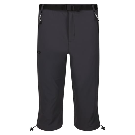 Regatta Heren Xert Stretch III Stretch Active Capri Shorts (Afdichting Grijs) - Image 1