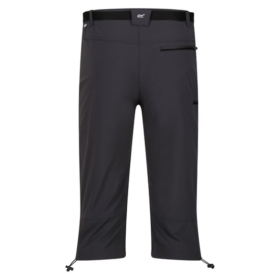 Regatta Heren Xert Stretch III Stretch Active Capri Shorts (Afdichting Grijs) - Image 2