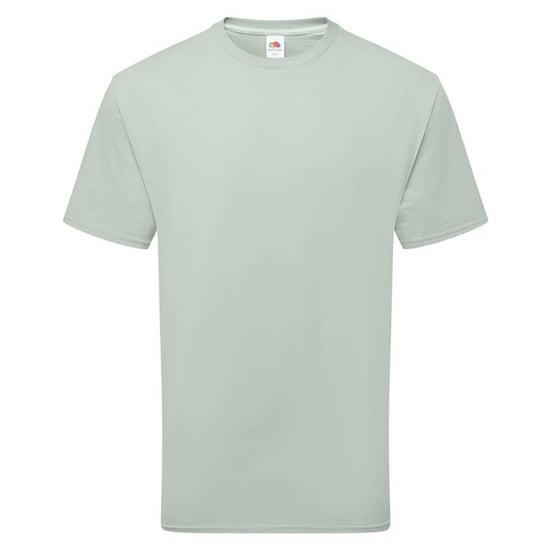Fruit of the Loom Katoenen uniseks T-shirt voor volwassenen (Salie) - Image 1