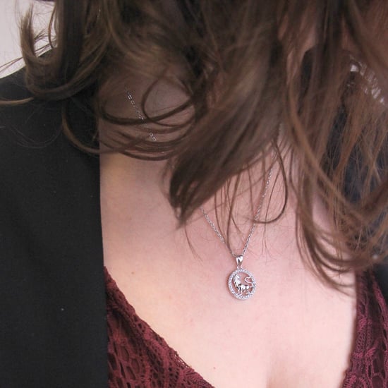 Leo Zodiac-hangers - Zilver en kristal - Image 2