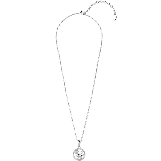 Leo Zodiac-hangers - Zilver en kristal - Image 5