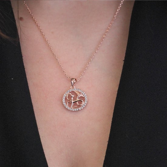 Steenbok Zodiac Hangers - Roségoud en Kristal - Image 2