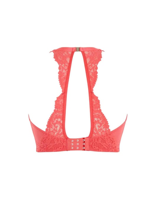 Addison Plunge Bra - Image 5
