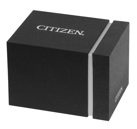 Citizen Heren Zilveren Horloge CA4624-56X - Image 3