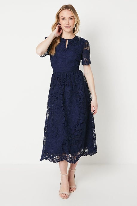 Occasion Lace Collared Midi Dress - Image 1