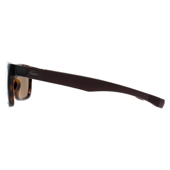 Lacoste Vierkant Unisex Havana Bruin Gepolariseerd L662SP - Image 3