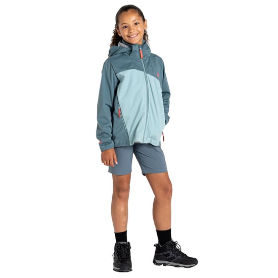 Dare 2B Kinderen/Kinderen Explore Soft Shell Jas (Element Grijs/Aquifer) - Image 4