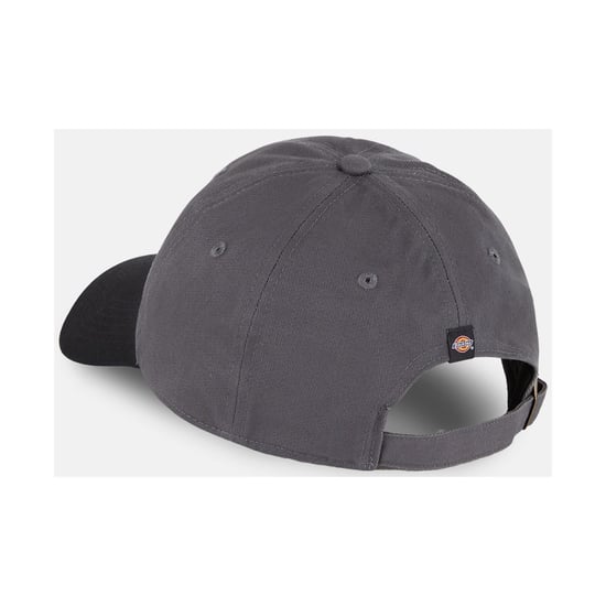 Dickies Everyday Dickies Katoenen Twill Unisex Volwassenen Grijze Baseball Caps - Image 2