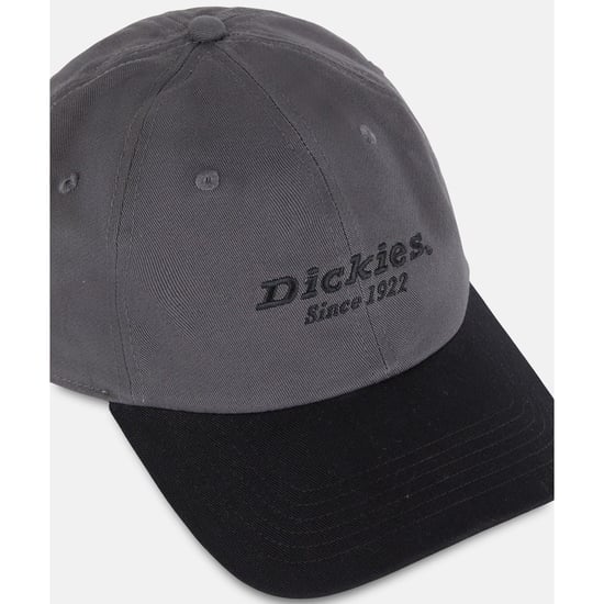 Dickies Everyday Dickies Katoenen Twill Unisex Volwassenen Grijze Baseball Caps - Image 3
