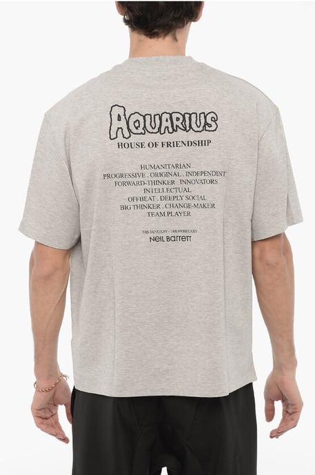 Bedrukt AQUARIUS THE HUMANITARIAN T-shirt met ronde hals in grijs - Image 2