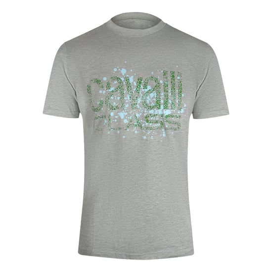 Cavalli Class Gebarsten Gespoten Logo Grijs Gemêleerd T-shirt - Image 1