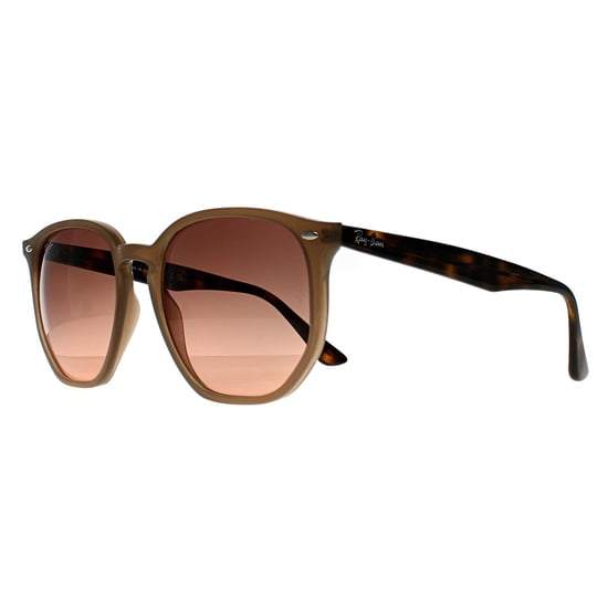 Ray-Ban RB4306 678846 gepolijste tortledove roze gradiënt grijze zonnebril - Image 2