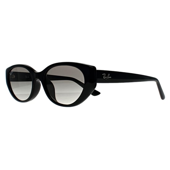 Ray-Ban RB4457D Bio Based 667711 gepolijste zwart grijs gradiënt zonnebril - Image 2