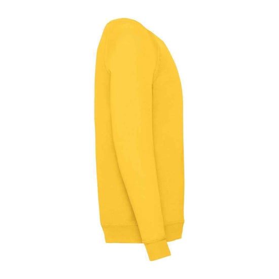 Fruit of the Loom Klassiek Raglan Sweatshirt voor kinderen/Kinderen (Zonnebloem) - Image 2