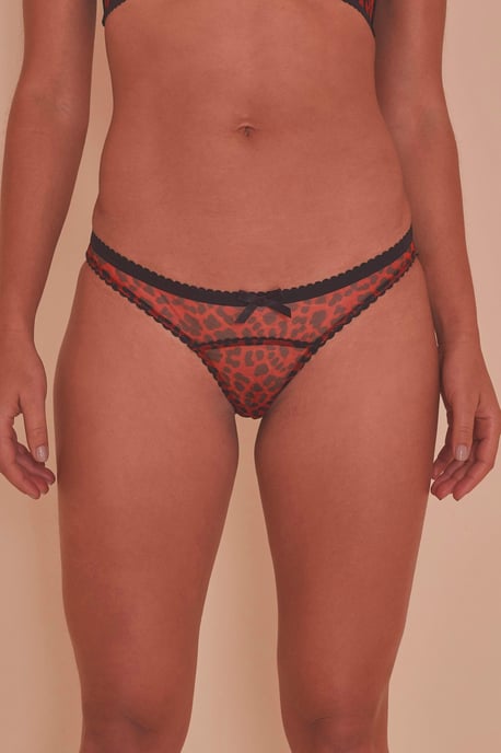 Playful Promises Josie Leopard Mesh Picot Cheeky Brazilian Brief Core - Image 1