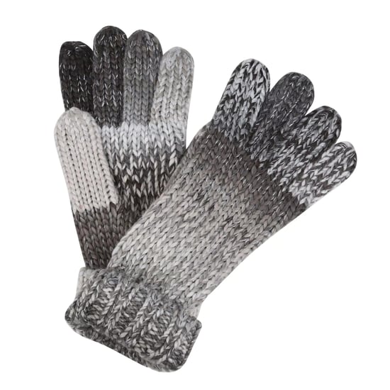 Regatta Dames/Dames Frosty VI Winterhandschoenen (Zwart) - Image 1