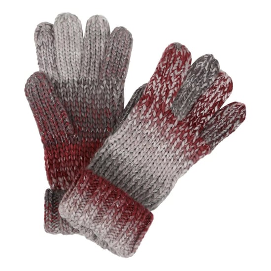 Regatta Dames/Dames Frosty VI Winterhandschoenen (Zwart) - Image 2