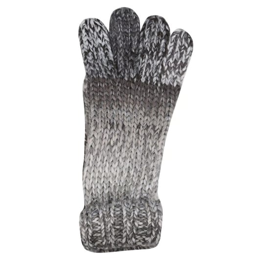 Regatta Dames/Dames Frosty VI Winterhandschoenen (Zwart) - Image 3