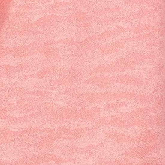 Trespass Dames/Dames Livia TP75 Active Top met lange mouwen (Roze Schelp) - Image 4