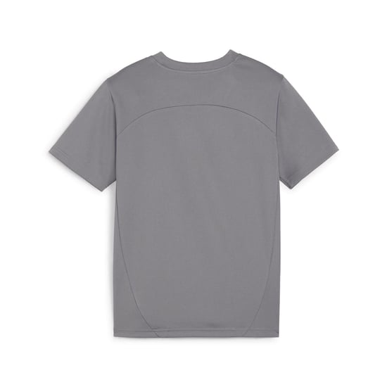 Puma Kinderen TeamFinal Trainingsshirt (Grijs) - Image 2