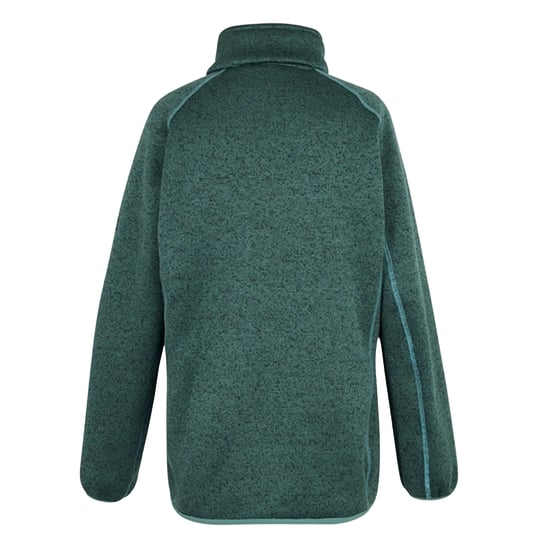 Regatta Dames/Dames Mellrey Full Zip Fleece (Sparrengroen) - Image 2