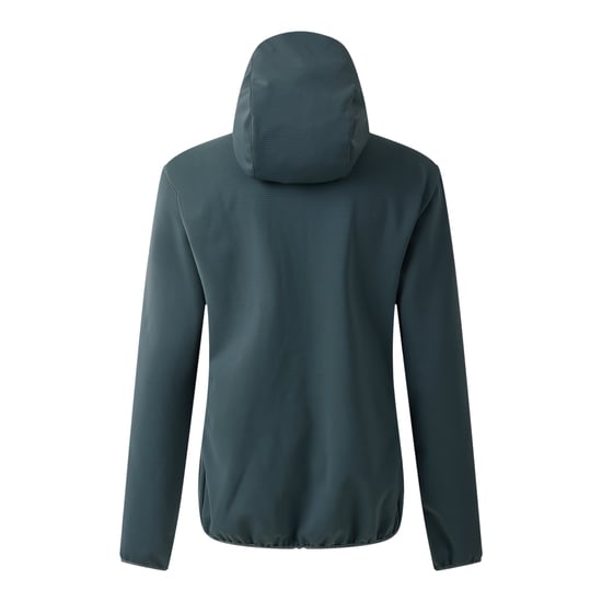Dare 2B Dames/Dames Iced Soft Shell Jas (Element Grijs) - Image 2
