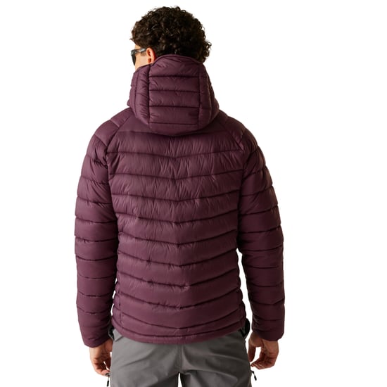 Dare 2B Heren Torrek Mountain gewatteerde jas (Afb.) - Image 5