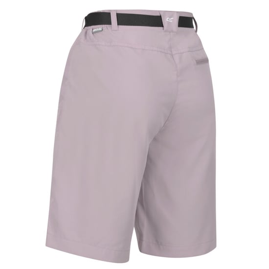 Regatta Dames/Dames Xert Stretch Shorts (Heide) - Image 4