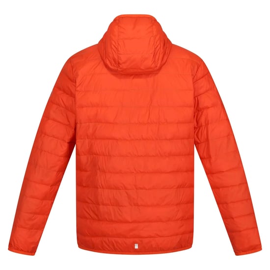 Regatta Heren Hillpack Hooded Lightweight Jacket (Roestige sinaasappel) - Image 2