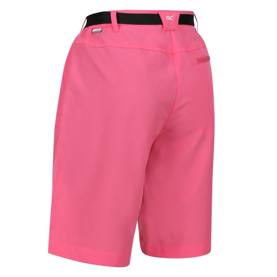 Regatta Dames/Dames Xert Stretch Shorts (Fruitduif) - Image 4