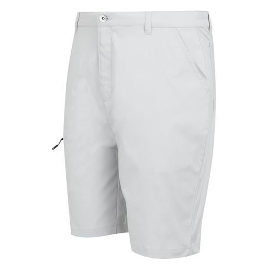 Regatta Heren Dalry Multi Pocket Korte Broek (Zilvergrijs) - Image 3