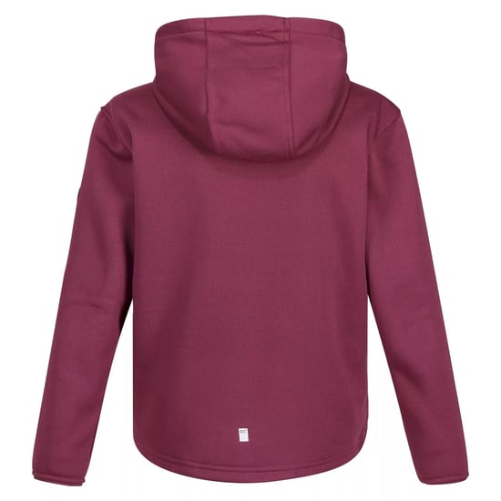 Regatta Kinderen/Kinderen Dream Believe Achieve Extol Stretch Hoodie (Amarant Haze) - Image 2