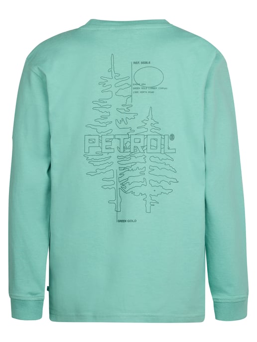 Petrol Industries - Jongens Backprint T-shirt Shenandoah - Blauw - Image 2