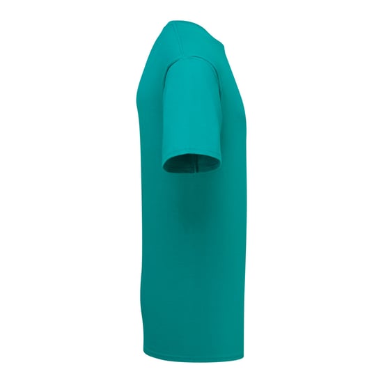 Fruit Of The Loom Mens Ringgesponnen Premium Tshirt (Ocean Teal) - Image 3