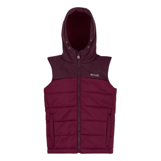Regatta Lofthouse Bodywarmer voor kinderen/Kinderen (Vijg/Dark Pimento) - Image 1